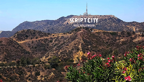 Script City Hollywood Sign